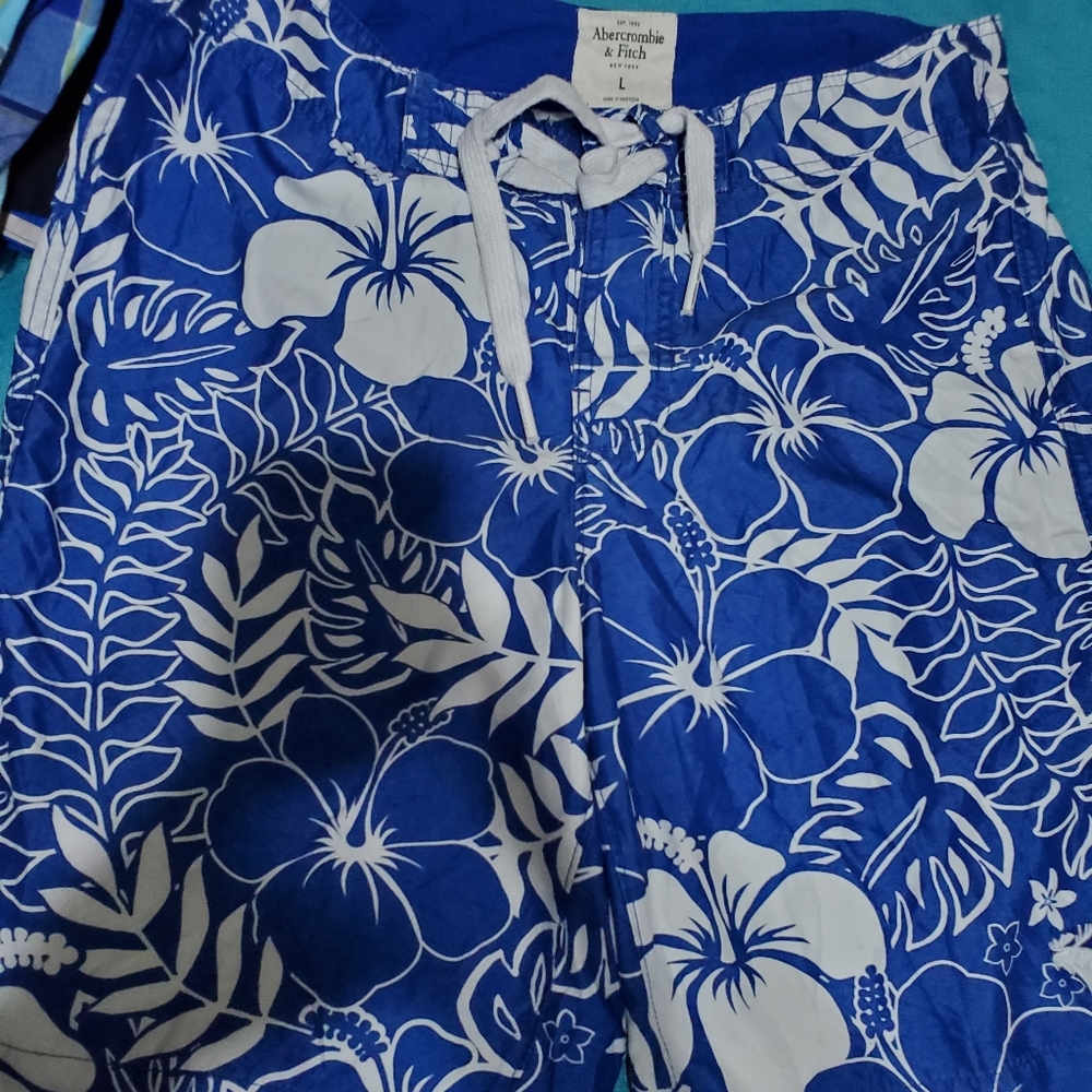Abercrombie men's shorts